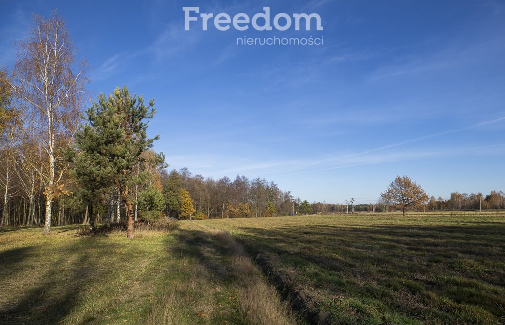 Działka budowlana na sprzedaż Tarnobrzeg, Ocice, Ocicka  2 800m2 Foto 13