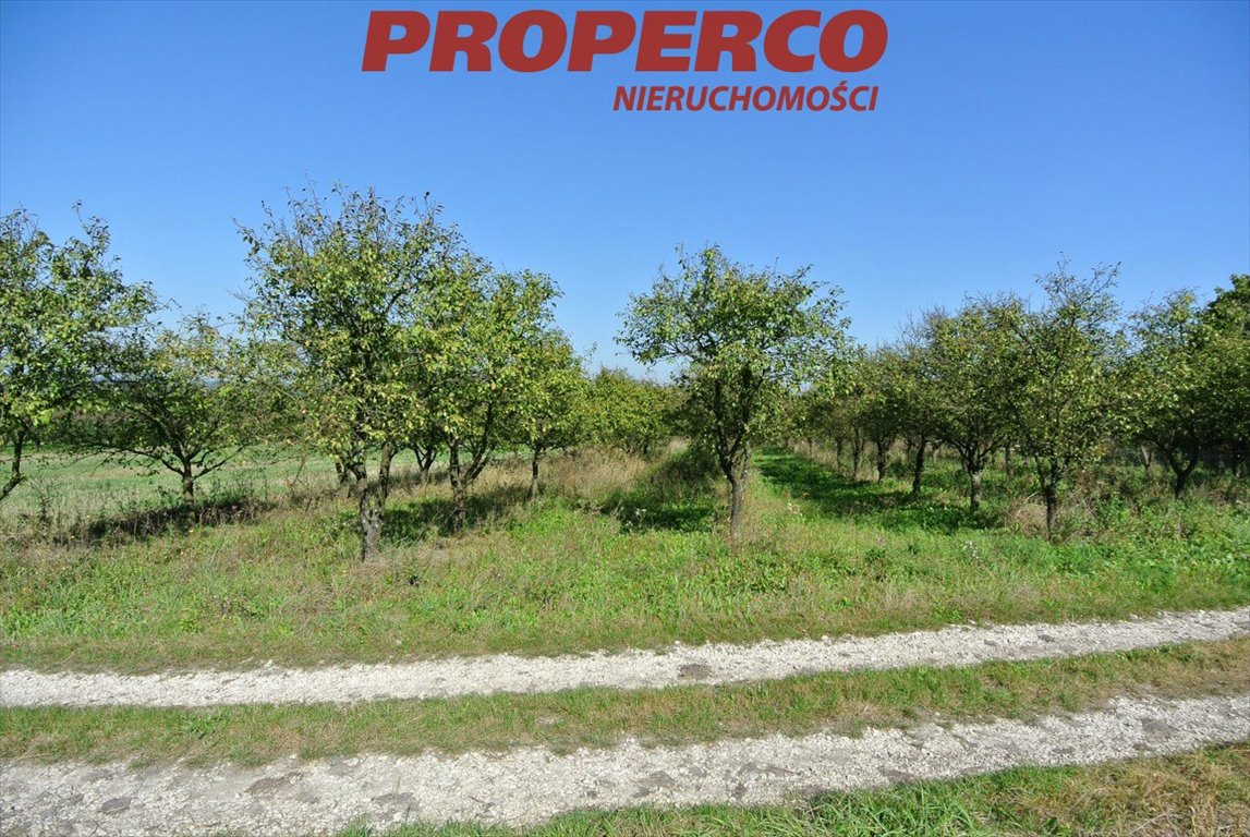 Działka 5400 m² z sadem, do zabudowy, Widuchowa, spokojna okolica Busko-Zdrój, Widuchowa  5 400m2 Foto 1