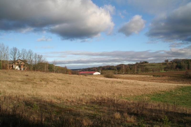 Działka inna na sprzedaż Borzestowo, bez nazwy  43 288m2 Foto 2