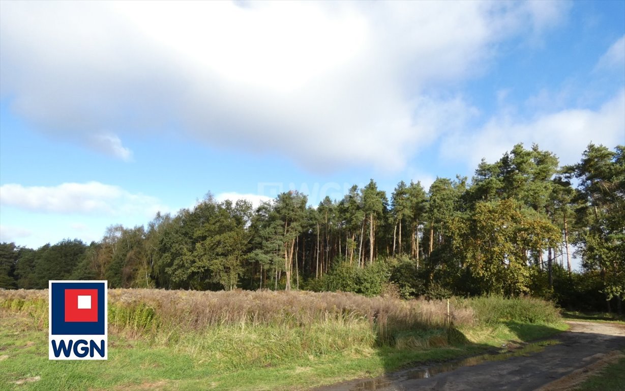 Działka budowlana na sprzedaż Ostrów Wielkopolski, Pruślin, Pruślin  943m2 Foto 2