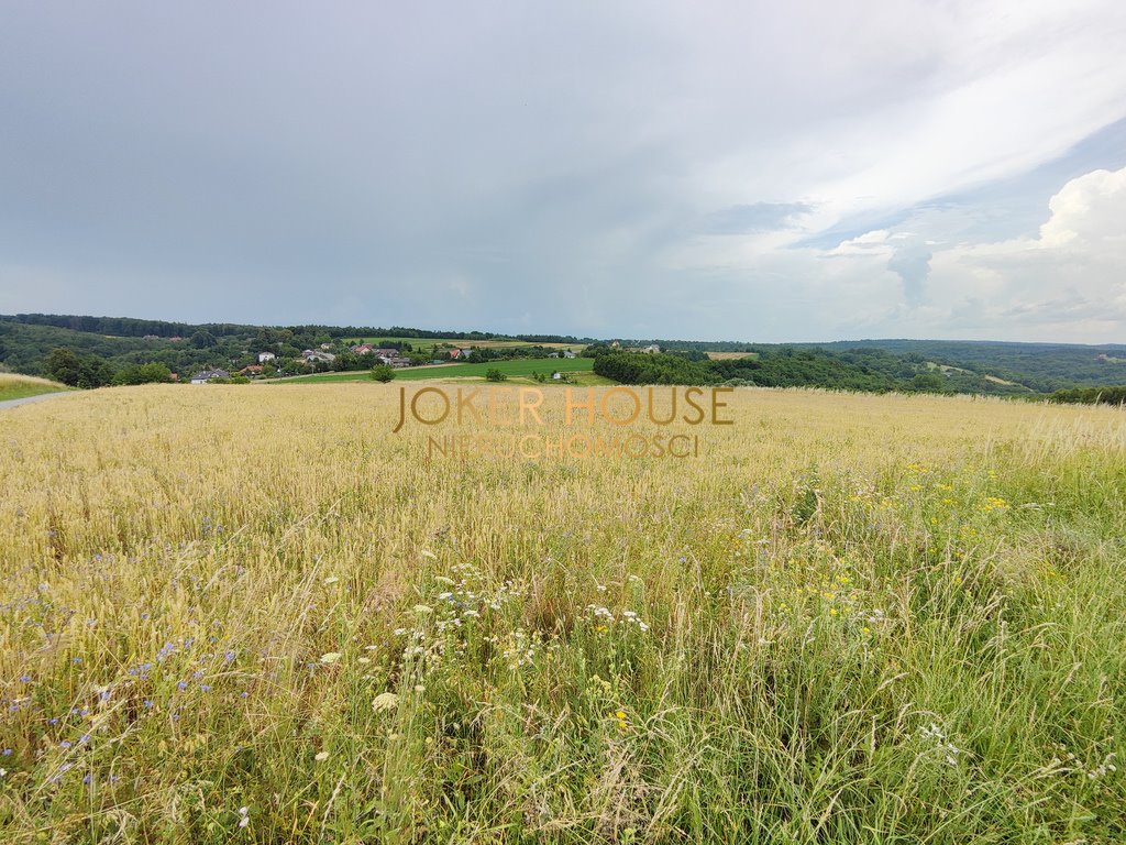 Działka budowlana na sprzedaż Boguchwała  4 900m2 Foto 6