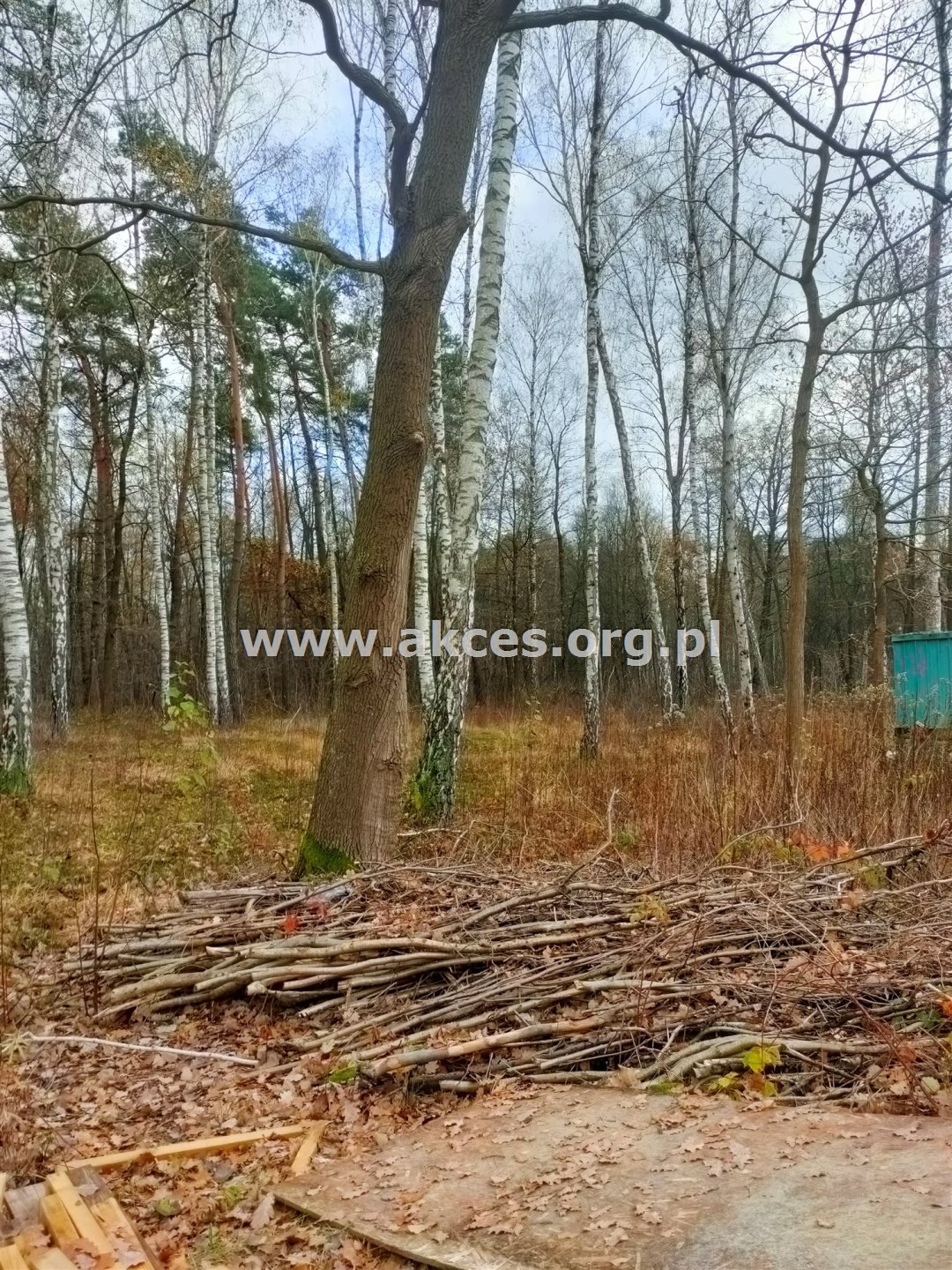 Działka budowlana na sprzedaż Kamionka, Spacerowa  1 000m2 Foto 2