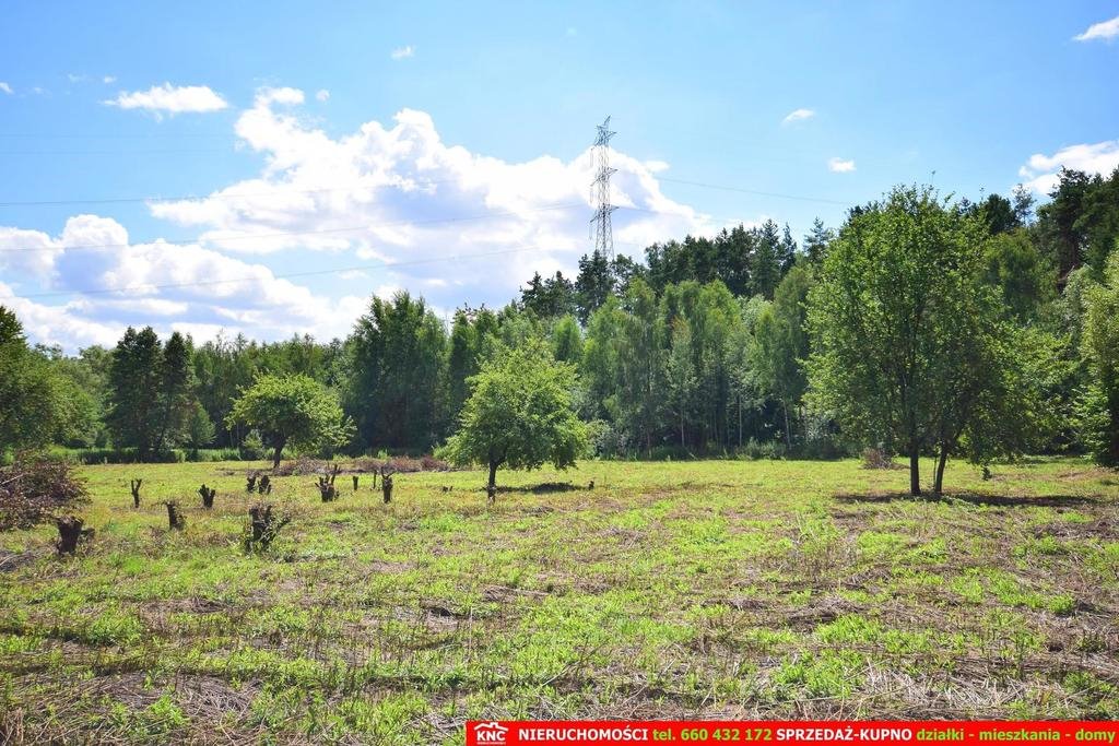 Działka rolna 3000 m² w Pliszczynie z możliwością powiększenia Pliszczyn  3 000m2 Foto 1