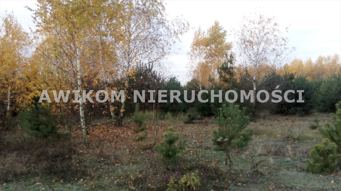 Działka 4170 m² pod dom z ogrodem - blisko Grzymka Adamów-Wieś  4 170m2 Foto 1