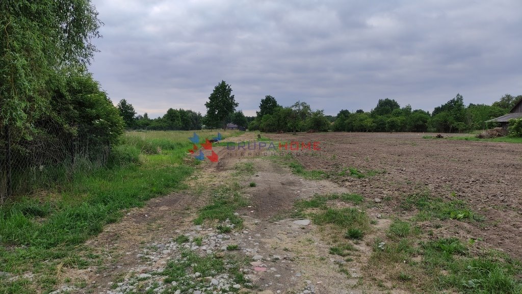 Działka budowlana na sprzedaż Chojnów  1 300m2 Foto 5