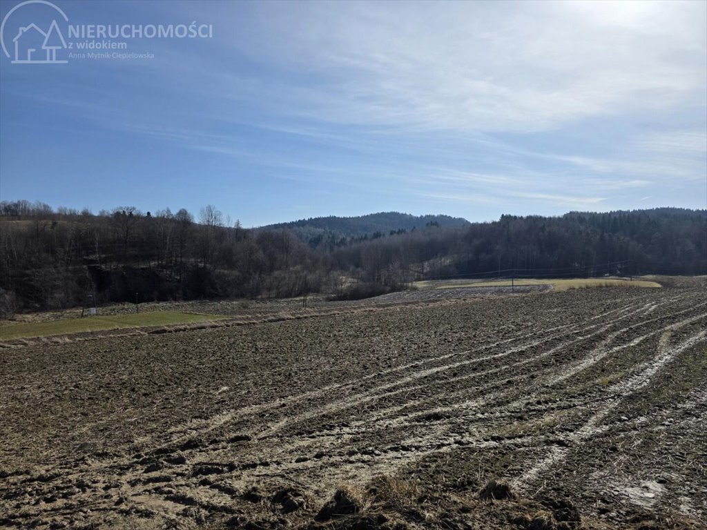 Urokliwa działka 1,10 ha w Jodłowej z potencjałem Jodłowa  11 000m2 Foto 1