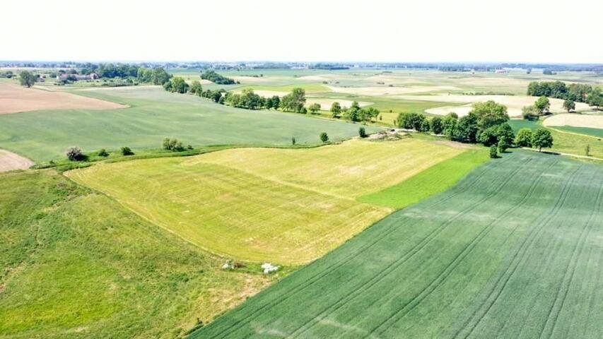 Działka rolna na sprzedaż Górkło  9 063m2 Foto 12