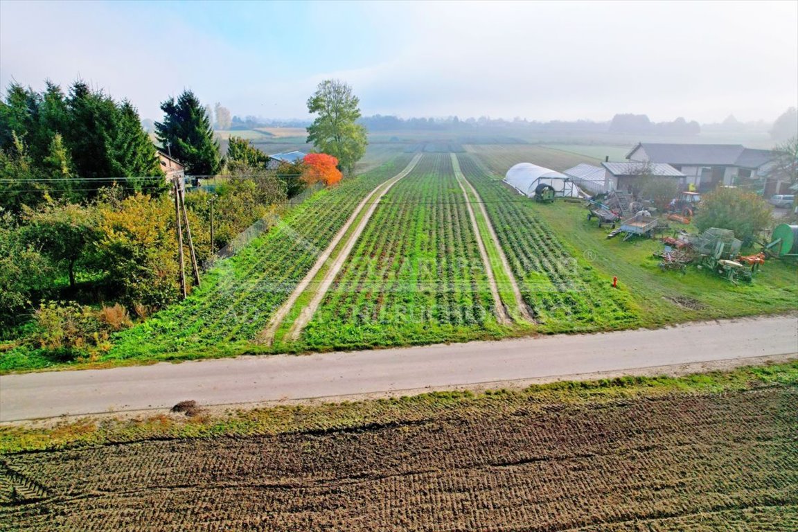 Działka budowlana na sprzedaż Zezulin Niższy, Zezulin  10 017m2 Foto 2