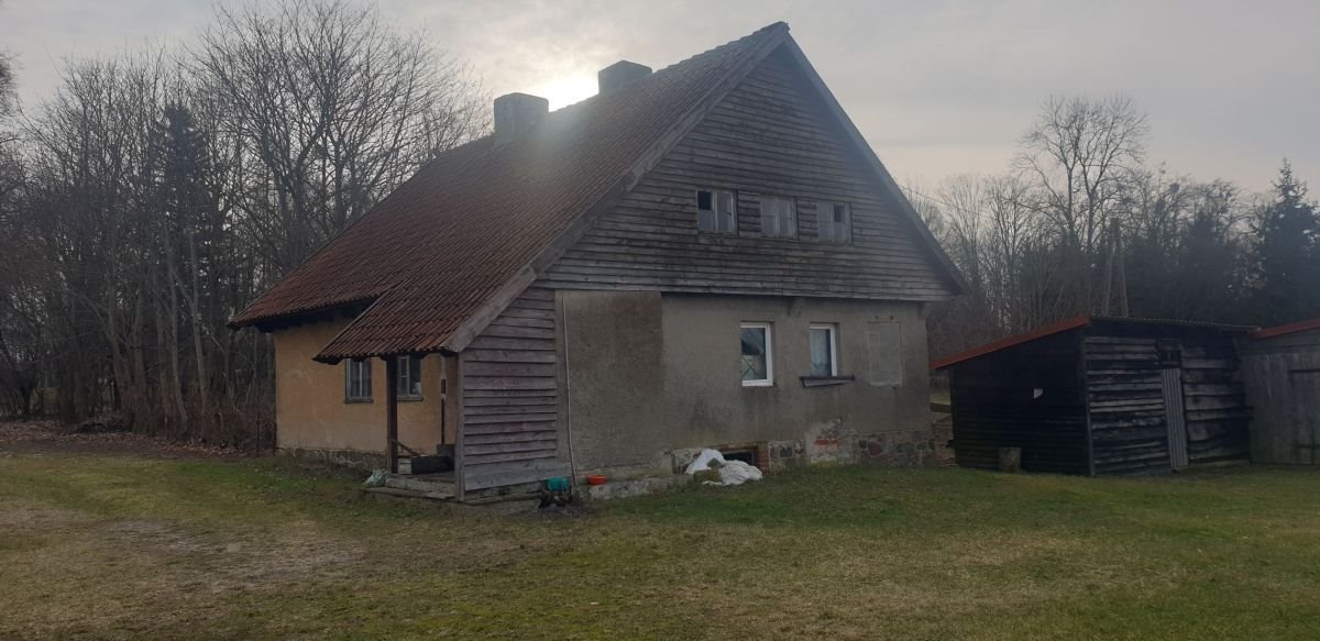 Lokal użytkowy na sprzedaż Elganowo, Elganowo  587m2 Foto 3