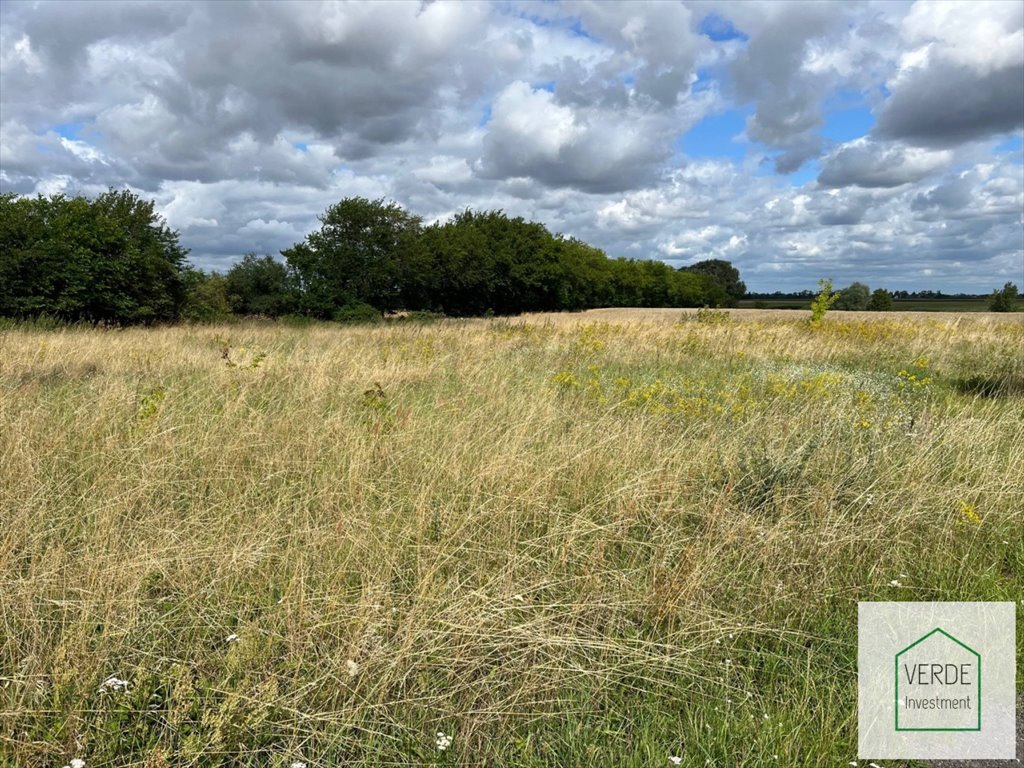 Działka przemysłowo-handlowa na sprzedaż Chludowo, Chludowo, Szosa Poznańska  1 250m2 Foto 4