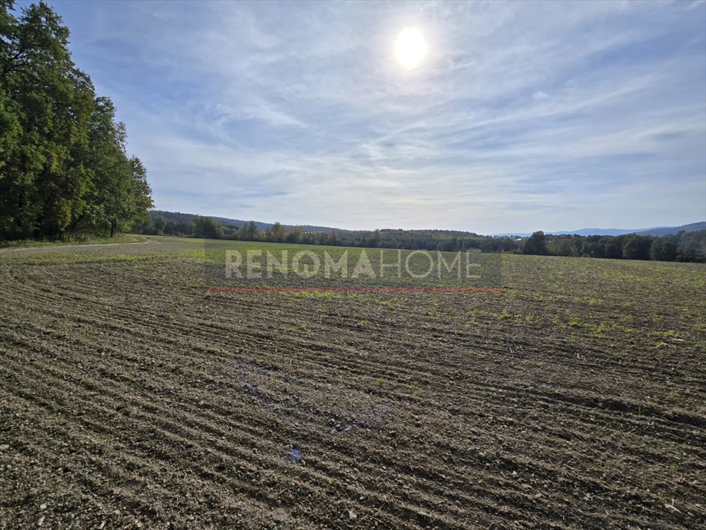 Działka gospodarstwo rolne na sprzedaż Sobótka, Tąpadła  90 500m2 Foto 2