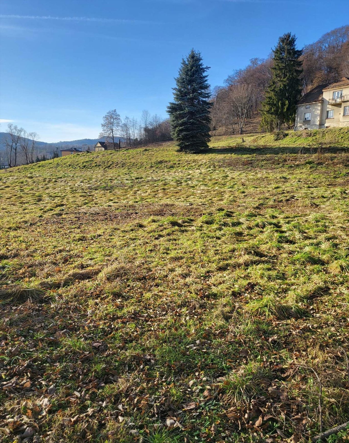 Działka budowlana na sprzedaż Jurków  21 000m2 Foto 2