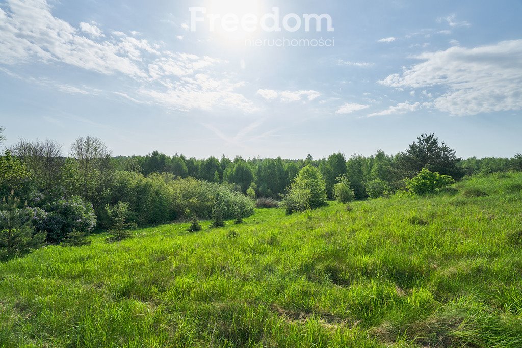 Działka budowlana na sprzedaż Kosewo  12 500m2 Foto 10