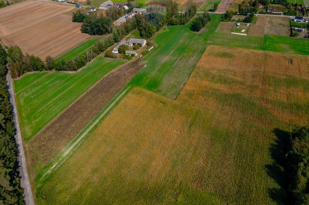 Działka budowlana na sprzedaż Wodzin Majoracki, Okupniki  1 200m2 Foto 2