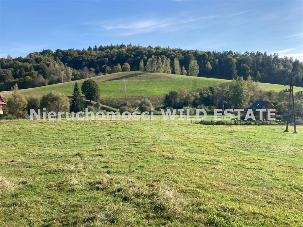 Działka budowlana na sprzedaż Ustrzyki Dolne, Daszówka  2 000m2 Foto 4