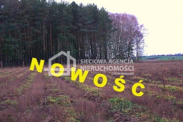 Działka leśna na sprzedaż Strzeczona 129 577m2 Foto 1 Działka leśna na sprzedaż Strzeczona 129 577m2 Foto 1
