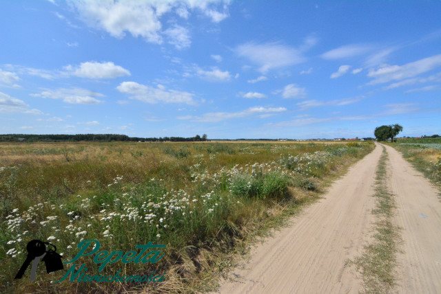 Do sprzedania duża działka 1,046 ha z lasem i polami w Radzewie Kórnik, Kórnik, Radzewo  10 462m2 Foto 1