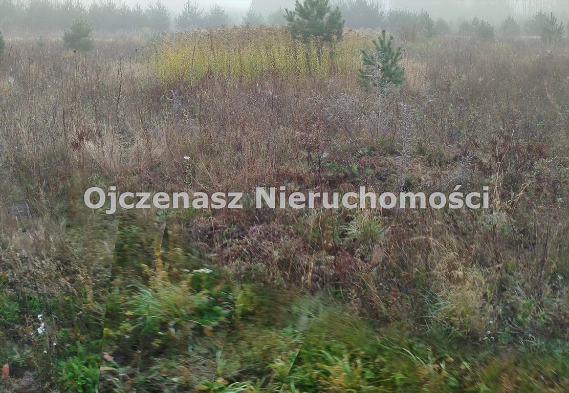 Zdjęcie 2