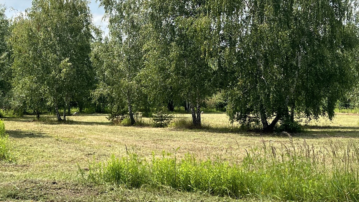 Działka budowlana na sprzedaż Kierszek, Prawdziwka  3 000m2 Foto 5