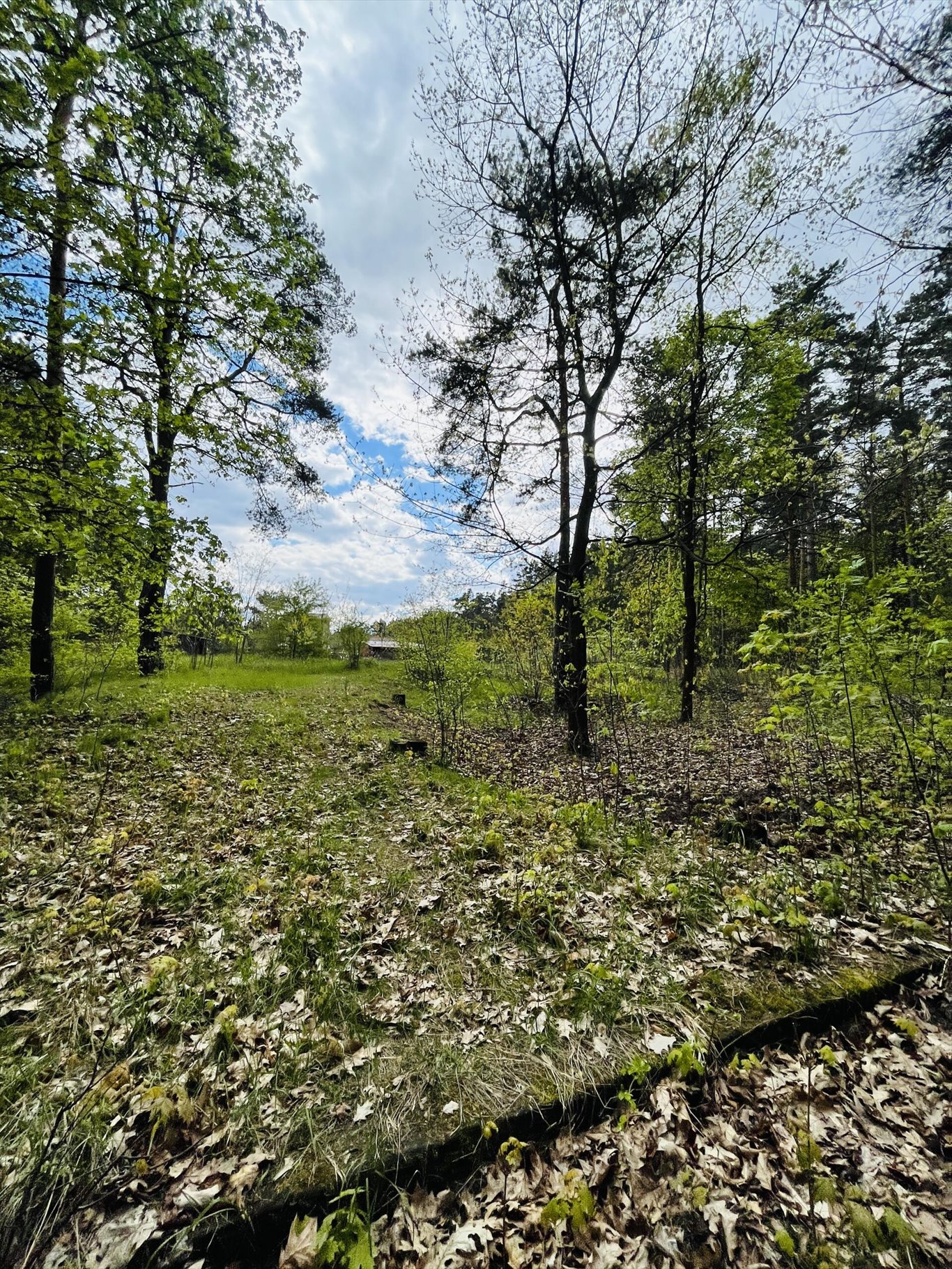 Działka inna na sprzedaż Wołomin, Orzechowa  2 000m2 Foto 6