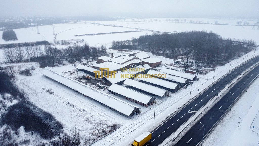 Magazyn na sprzedaż Stalowa Wola  4 921m2 Foto 3