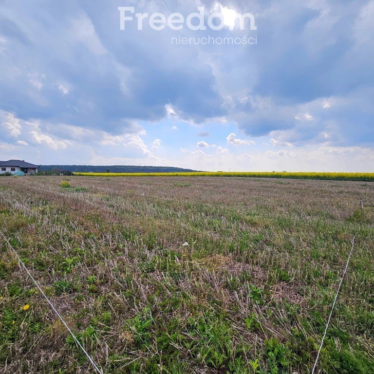 Działka inna na sprzedaż Wólka Bałtowska-Kolonia  930m2 Foto 4