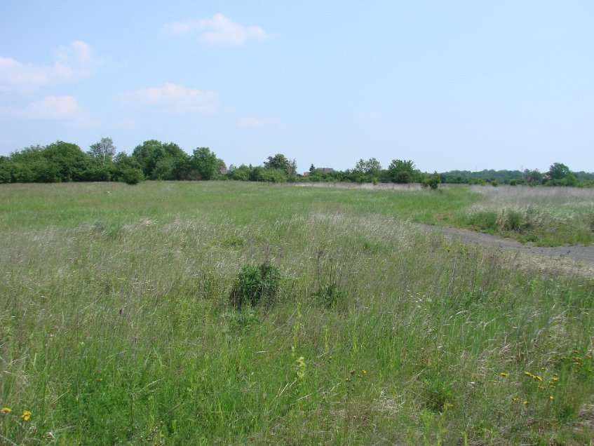 Działka budowlana na sprzedaż Głoska  2 748m2 Foto 4