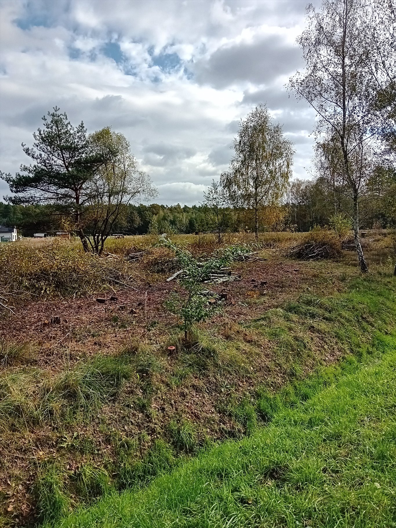 Działka budowlana na sprzedaż Tworóg Mały, Brzozowa  600m2 Foto 3