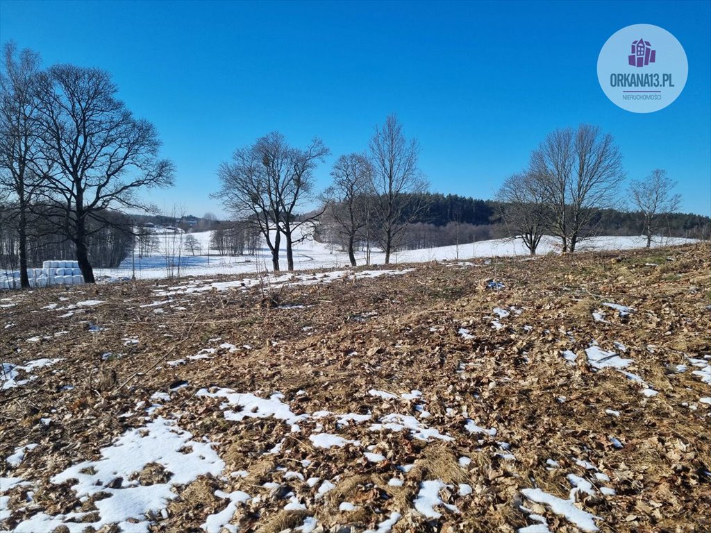 Działka budowlana na sprzedaż Giławy, Giławy  4 259m2 Foto 6
