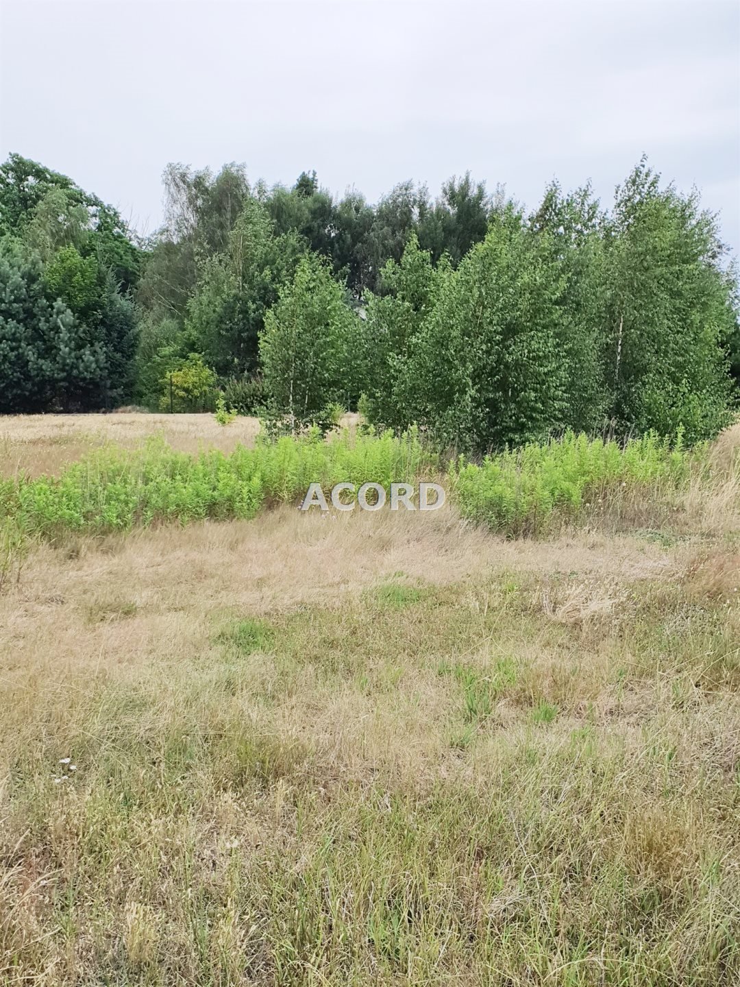 Działka budowlana na sprzedaż Michałów  2 000m2 Foto 2