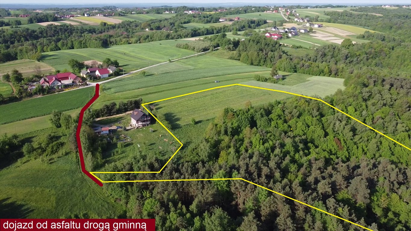 Działka siedliskowa na sprzedaż Melonek  41 400m2 Foto 6