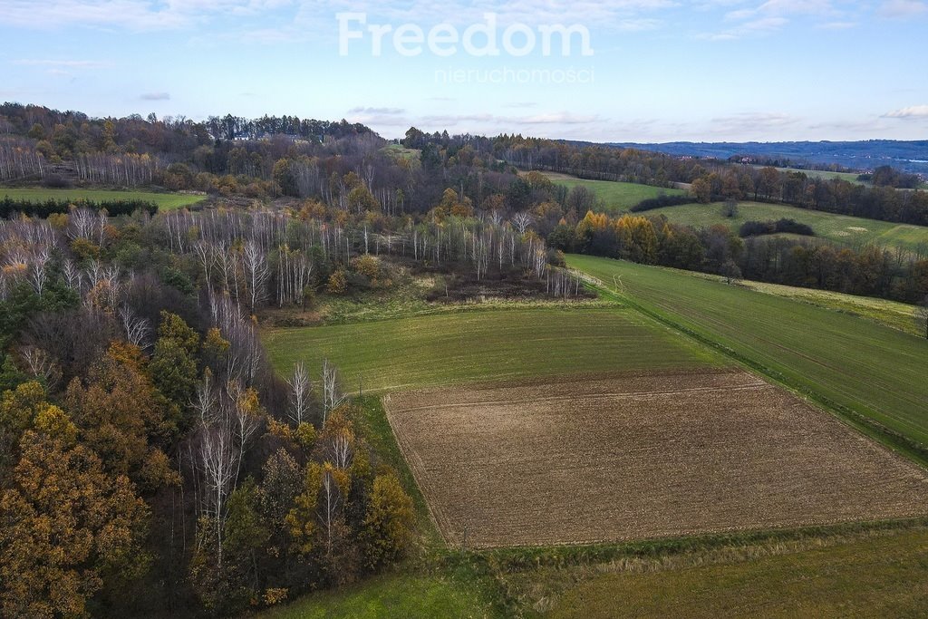 Działka budowlana na sprzedaż Kielnarowa  9 500m2 Foto 14