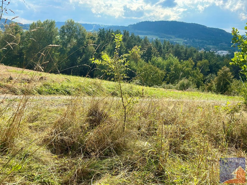 Działka budowlana na sprzedaż Limanowa, Stara Wieś  5 700m2 Foto 5