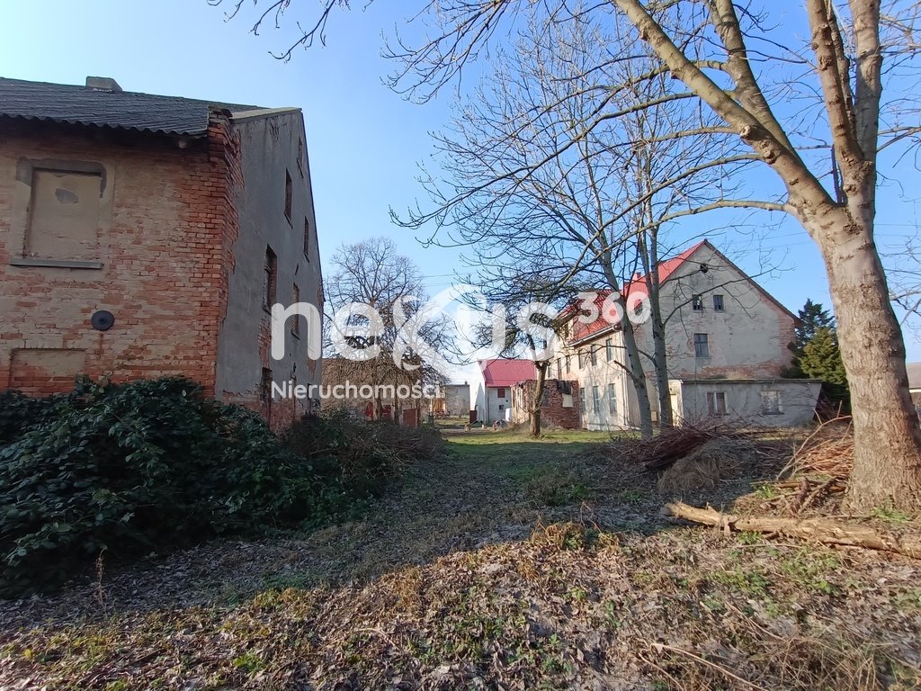 Lokal użytkowy na sprzedaż Dąbrowa  1 230m2 Foto 5