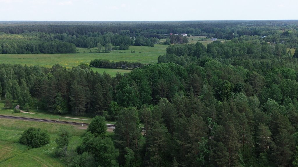 Działka rolna na sprzedaż Augustów  20 000m2 Foto 7