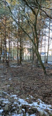 Działka budowlana na sprzedaż Aleksandria, Aleksandria Druga, Księżycowa  1 267m2 Foto 12