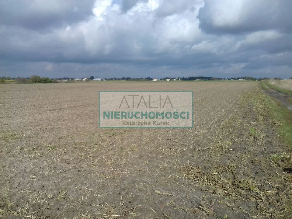 Działka 8 400 m² z potencjałem rozwoju - polecam! Domaniewek  8 400m2 Foto 1