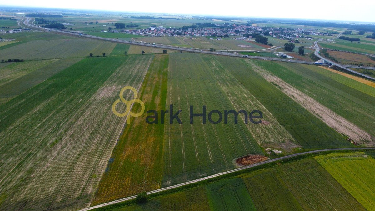 Działka inwestycyjna na sprzedaż Święciechowa  1 000m2 Foto 5