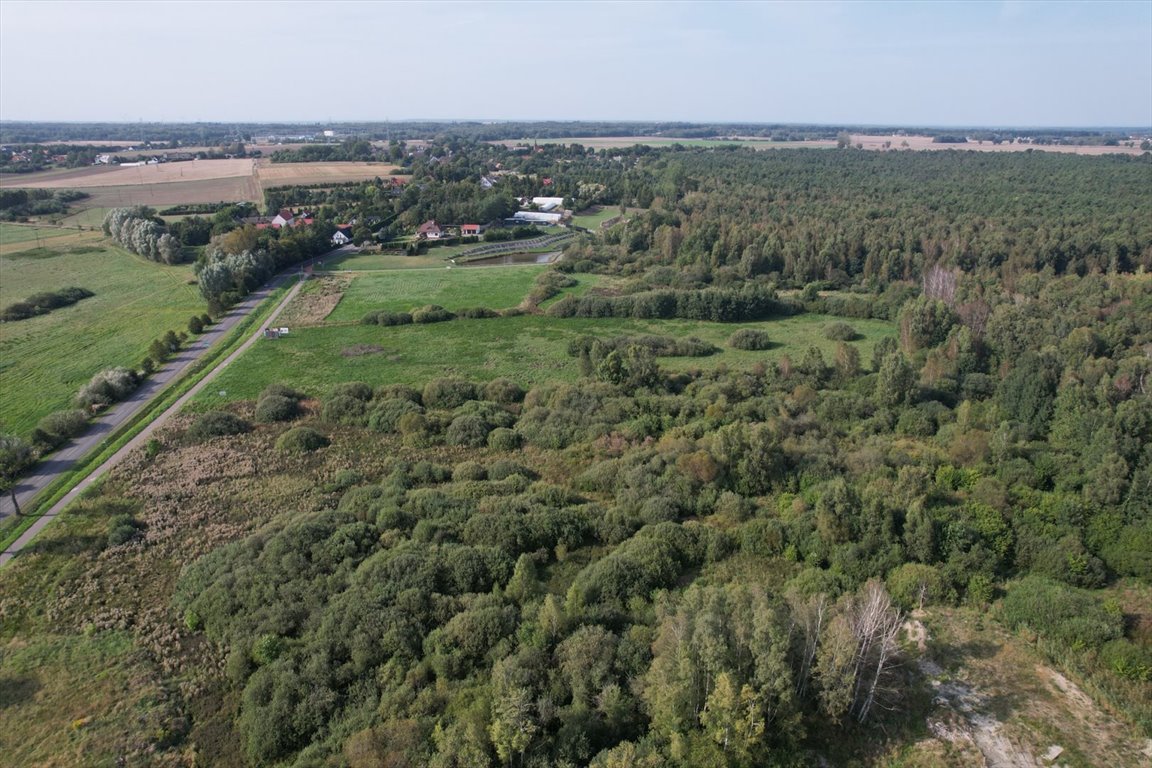 Działka rolna na sprzedaż Bruskowo Wielkie  5 000m2 Foto 6