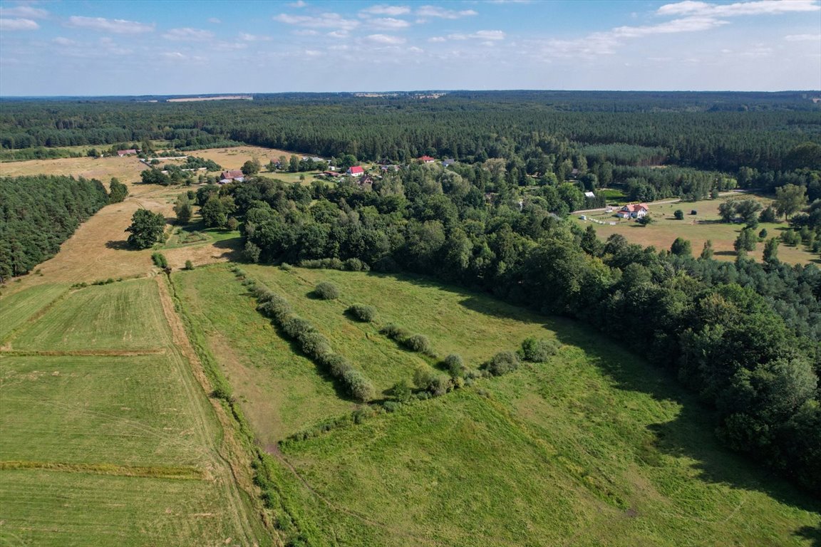 Działka budowlana na sprzedaż Lękwica  14 600m2 Foto 6