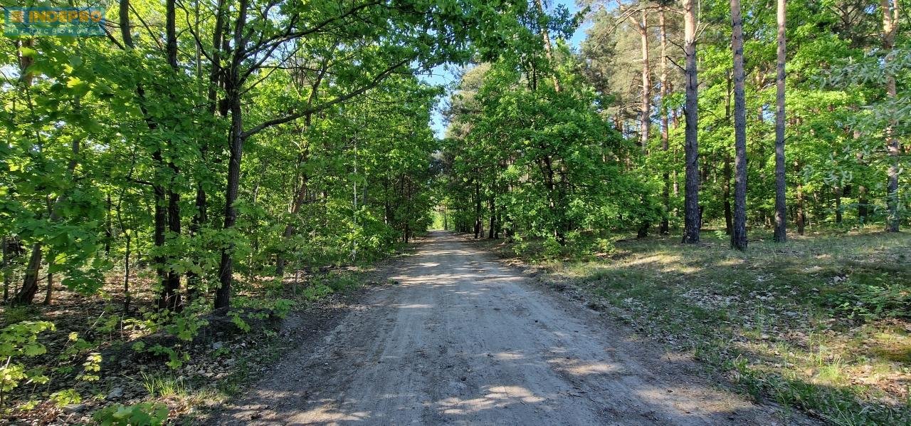 Działka rolna na sprzedaż Okuniew  1 230m2 Foto 7