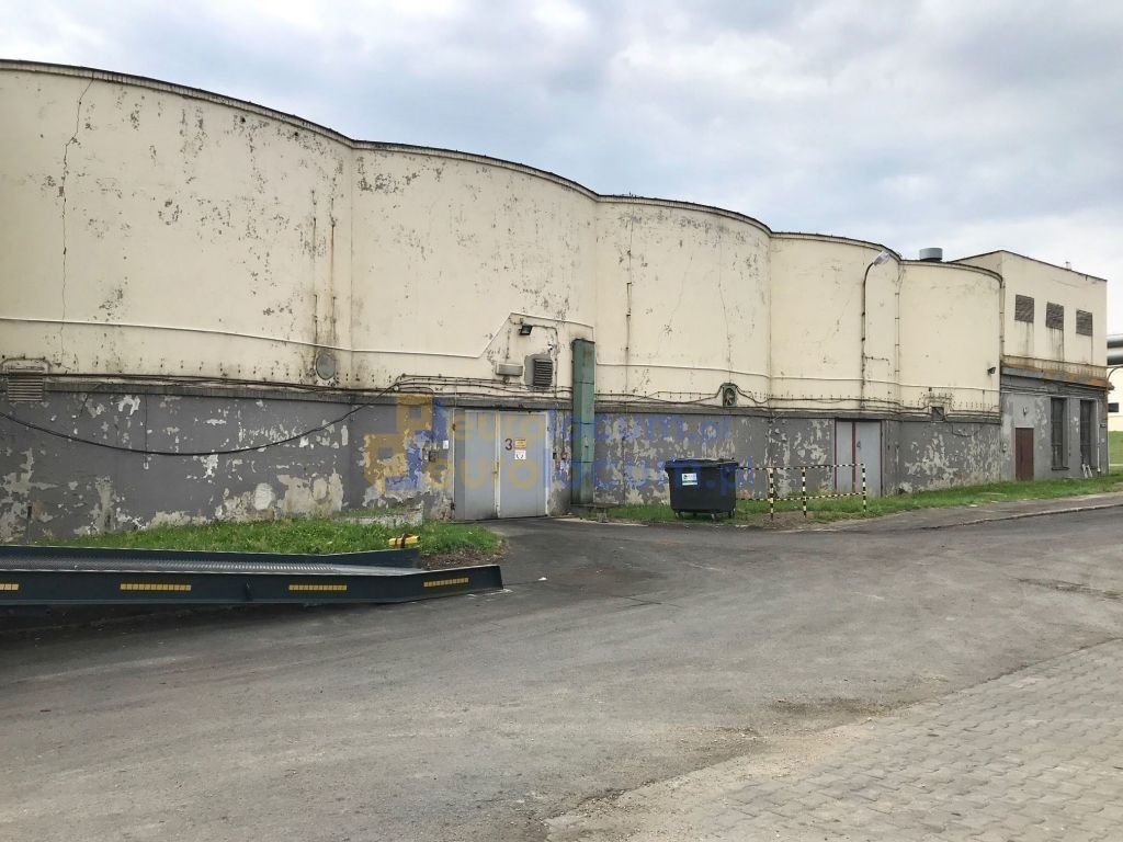 Lokal użytkowy na wynajem Kielce, Mielczarskiego  1 645m2 Foto 3