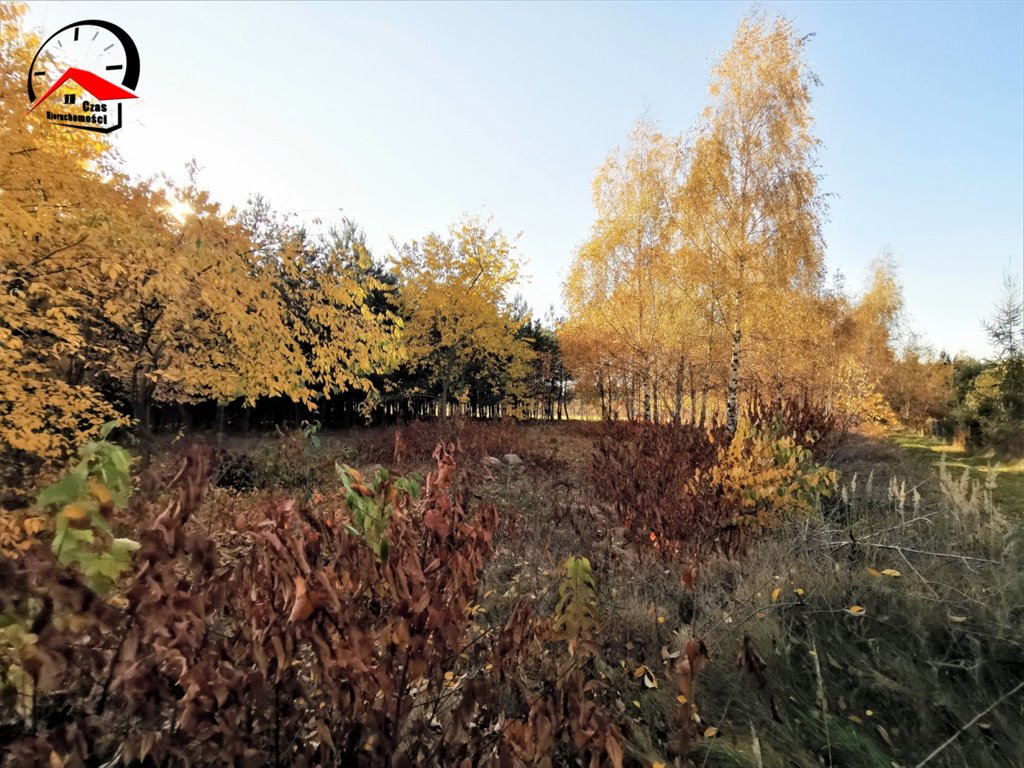 Działka gospodarstwo rolne na sprzedaż Orle  3 700m2 Foto 9