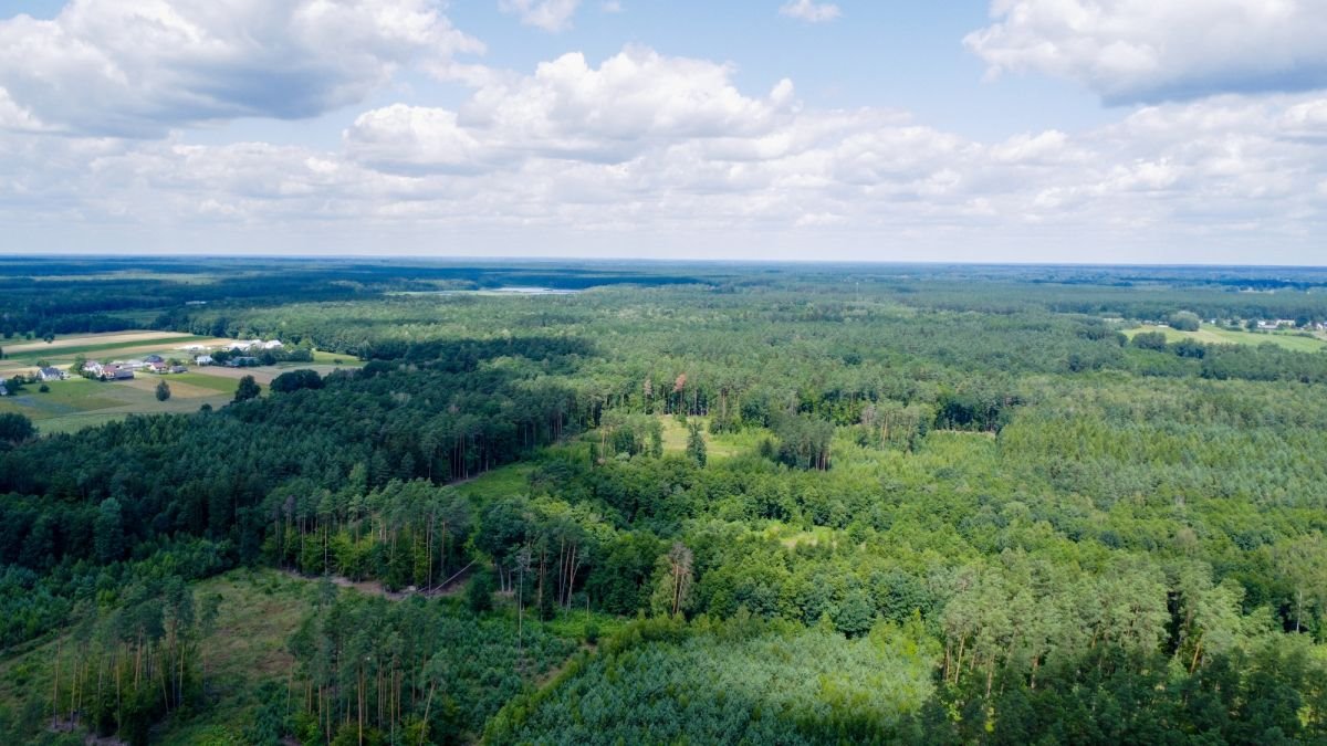 Działka budowlana na sprzedaż Nowy Brańszczyk  2 800m2 Foto 6