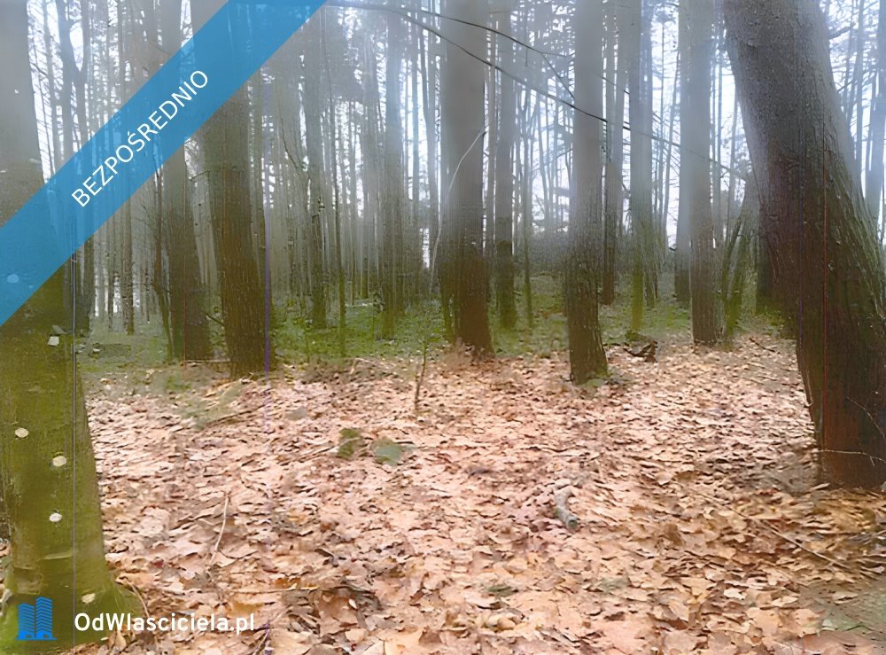 Działka Pobłocie 2092 m², bez prowizji, atrakcyjna cena Pobłocie  2 092m2 Foto 1