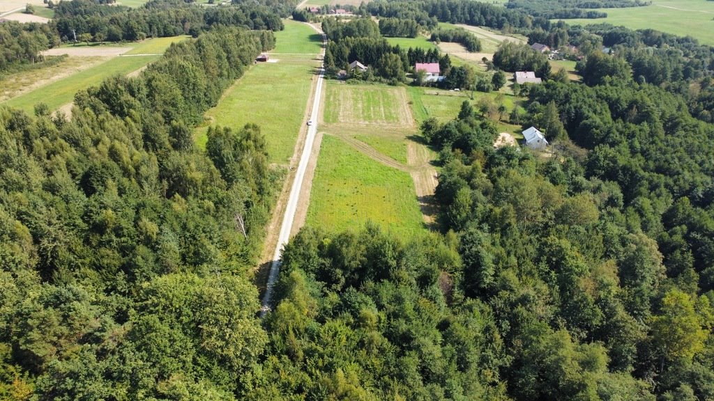 Działka budowlana na sprzedaż Nowy Borek  4 175m2 Foto 4