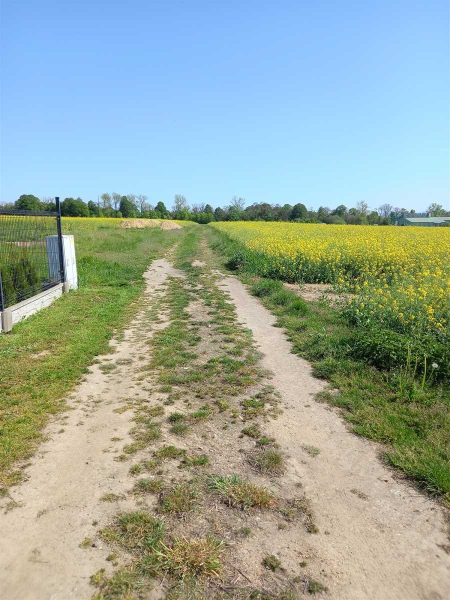 Działka budowlana na sprzedaż Strzegom  1 912m2 Foto 2