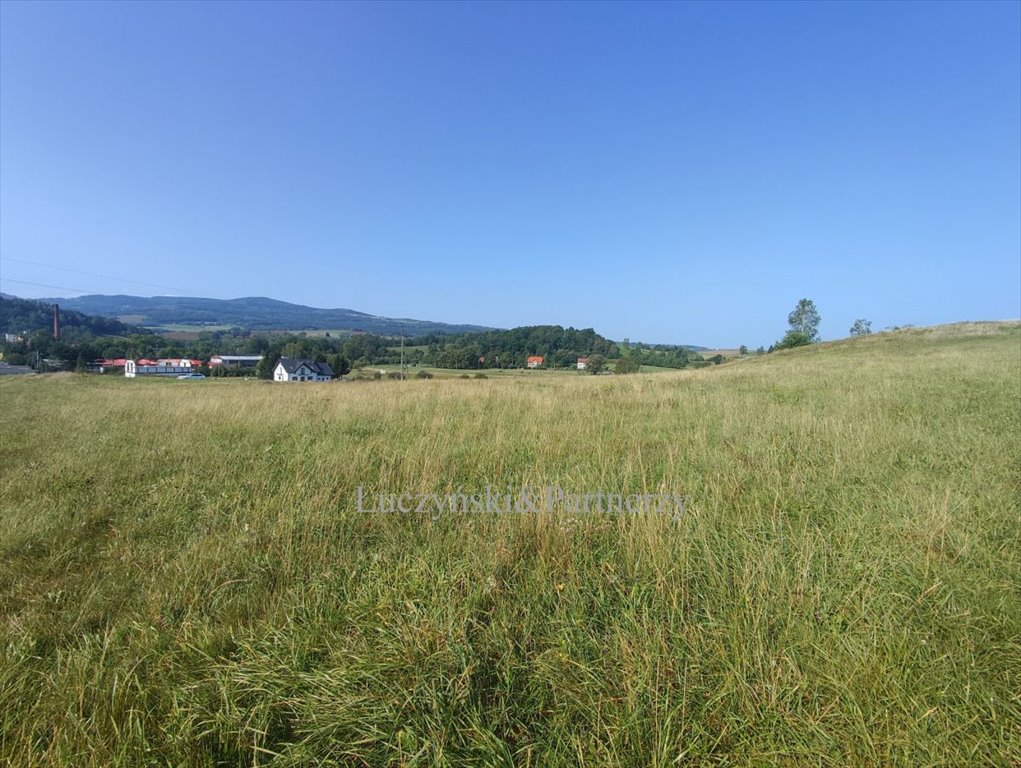 Działka budowlana na sprzedaż Marciszów  1 495m2 Foto 3