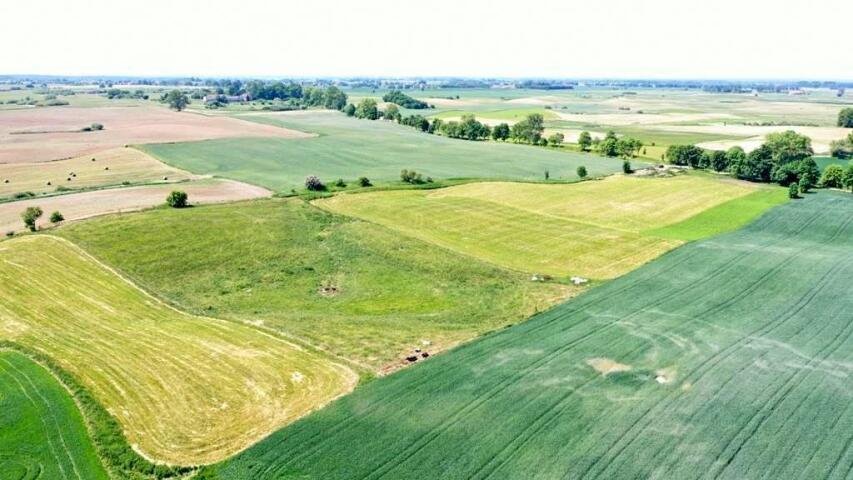 Działka rolna na sprzedaż Górkło  3 015m2 Foto 10