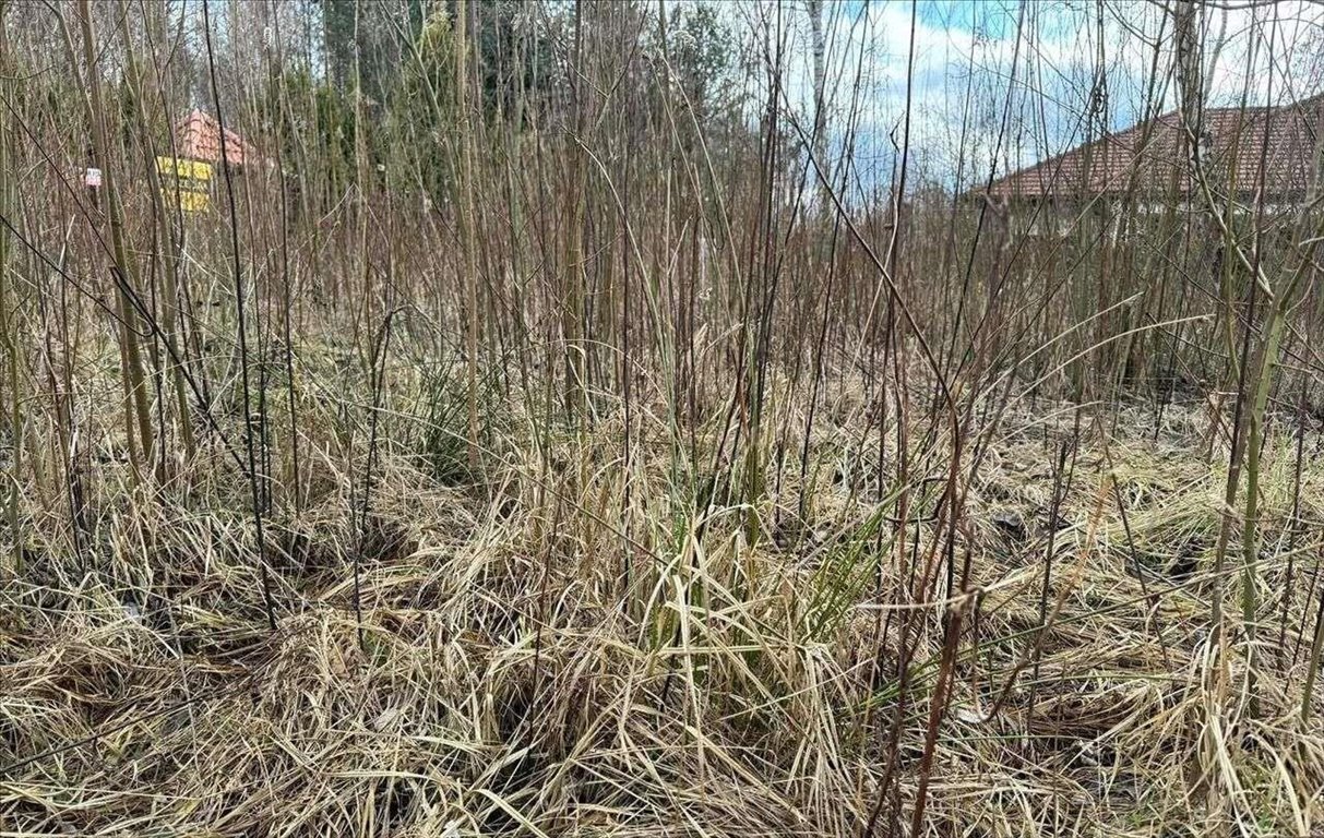 Działka budowlana na sprzedaż Konstancin-Jeziorna  1 500m2 Foto 2